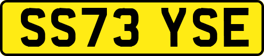 SS73YSE
