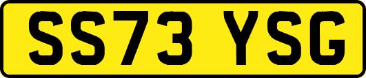 SS73YSG