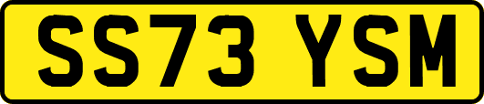 SS73YSM