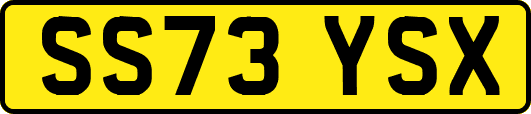 SS73YSX