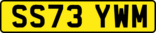 SS73YWM