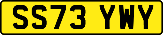 SS73YWY