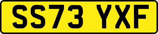 SS73YXF