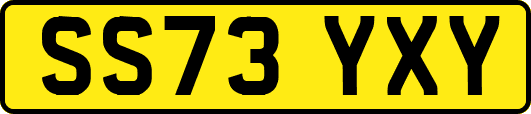 SS73YXY