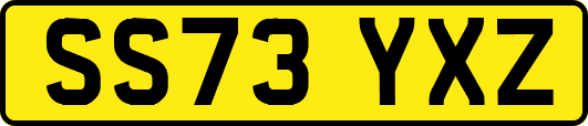 SS73YXZ