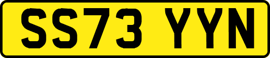 SS73YYN