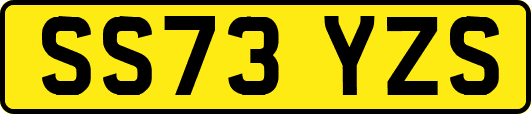 SS73YZS