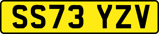 SS73YZV