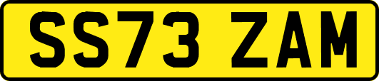 SS73ZAM