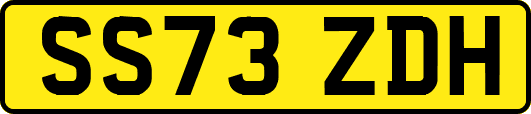 SS73ZDH