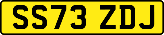 SS73ZDJ