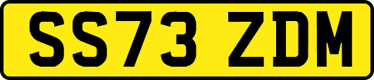SS73ZDM