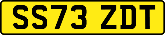 SS73ZDT