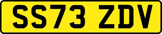 SS73ZDV