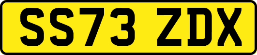 SS73ZDX