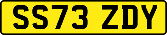 SS73ZDY