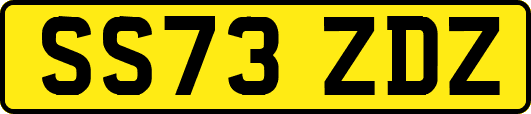 SS73ZDZ