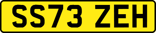 SS73ZEH