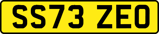 SS73ZEO