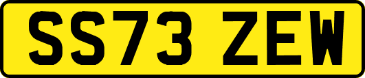 SS73ZEW