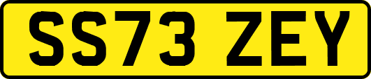 SS73ZEY