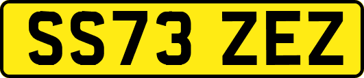 SS73ZEZ