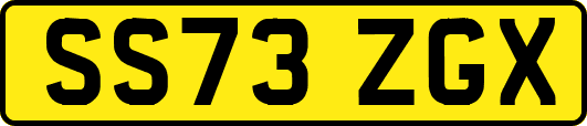 SS73ZGX