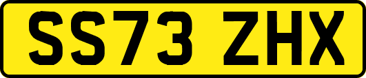 SS73ZHX