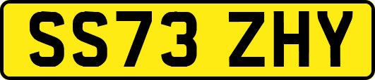 SS73ZHY