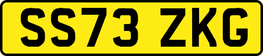 SS73ZKG