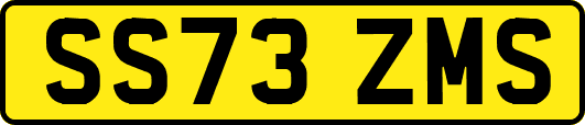 SS73ZMS