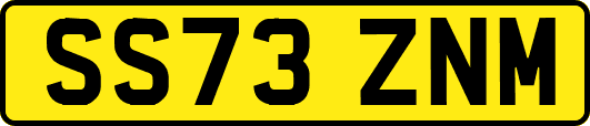 SS73ZNM