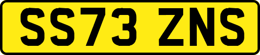 SS73ZNS