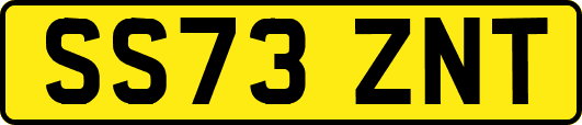 SS73ZNT