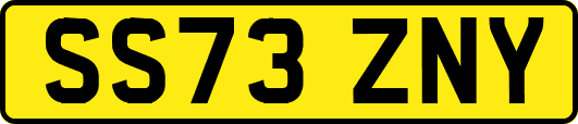 SS73ZNY