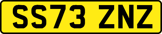 SS73ZNZ