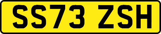 SS73ZSH