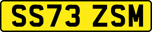 SS73ZSM