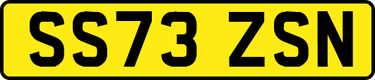 SS73ZSN