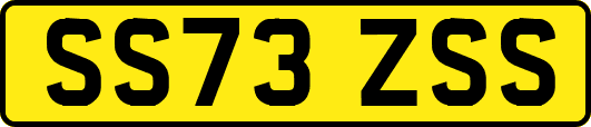 SS73ZSS