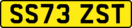 SS73ZST