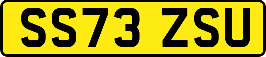 SS73ZSU