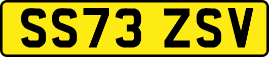SS73ZSV