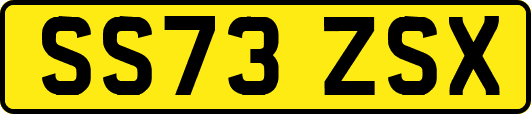 SS73ZSX