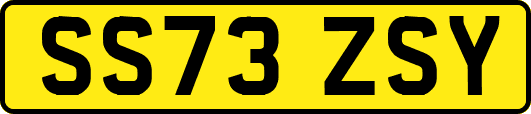 SS73ZSY