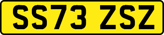 SS73ZSZ