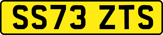 SS73ZTS