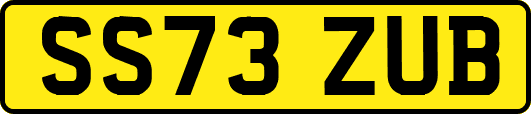 SS73ZUB