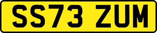 SS73ZUM