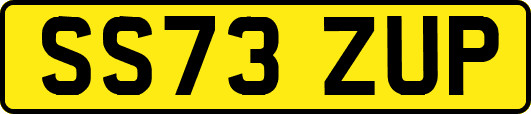 SS73ZUP